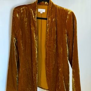 Loft Velvet Blazer